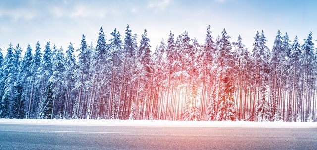 Hahn Gruppe Öffnungszeiten während den Feiertagen